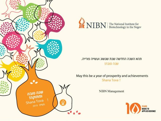 Happy New Year from the NIBN !